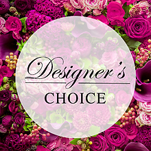 Designers Choice