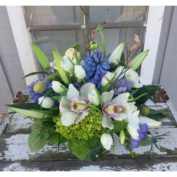 Blue & White Delight