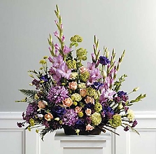 Purple And Traditional