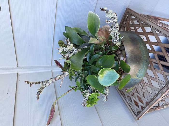 Succulent Garden